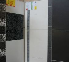 Une id&eacute;e assez r&eacute;aliste du carelage pour la salle de bain