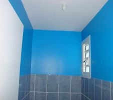 Peinture WC