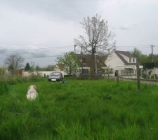 On commence &agrave; couper les branches