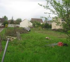 Et l&agrave;, il n'y a plus d'arbre