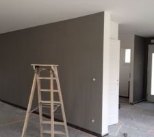 Mur du s&eacute;jour