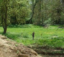 Il manque les chevaux dans le pré, domage.