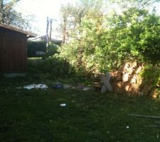 D&eacute;forestation :)