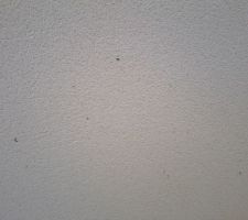 Tâches de ciment sur l'enduit !