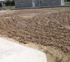 Terrain avant amenagement