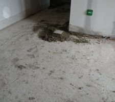 Couloir entrée : prise du niveau