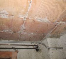 Sous face de dallage RdC