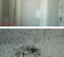 N'hésitez pas à nous donner votre avis.