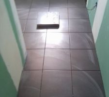 Carrelage salle de bain, Roca Magnet Marron, la couleur ne ressort pas bien en photo d&eacute;sol&eacute;