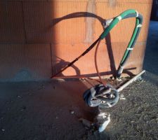 C&acirc;bles RJ 45 cat7