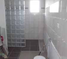 Un apperçu de la salle de bain bien avancée
