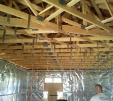 Suspentes de plafond
