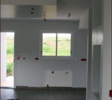 La peinture choisie est brillante... &ccedil;a fait bizarre