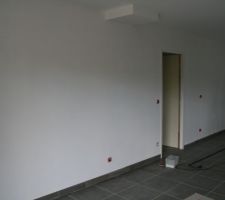 Mur 2 fois sous-couch&eacute;. Il y avait les plaques roses, difficiles &agrave; bien recouvrir