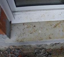 Attaque de corneilles sur toutes les fenêtres donnant au sud, résultat : tâches de sang sur le seuil de baie vitrée et appuis de fenêtres. 
Changement gratuit des appuis de fenêtres