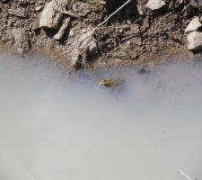 1er habitant sur le terrain