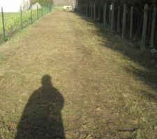 Débroussaillage chemin d'accès