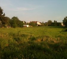 Courant Janvier 2011, nous tombons sur ce terrain et c'est le coup de foudre.
Au bout d'une impasse, entour&eacute; de champs et de verdure, &eacute;cole, commerces et gares non loin, c'est exactement ce que l'on cherchait !