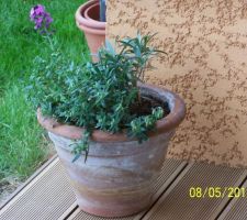 La couleur de la terrasse a été choisie pour ne pas jurer avec le crépis orange, la couleur chocolat nous paraissait trop tranchée