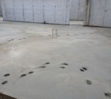 Certainement le p....n de chien de notre voisine bien aimée ! bien sûr aucune preuve mais vu la taille des pattes et la balle de tennis du chien à proximité !
La prochaine fois il fini dans les fondations..
Je vous raconte pas la tronche du maçon le lendemain matin!!
