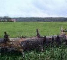 Notre terrain vu de la route.