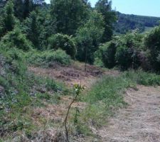 Derriere la future maison