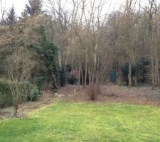 C'est l'heure d'attaquer la coupe des arbres...