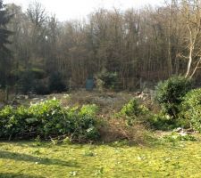 Et voila le travail, tout est par terre...sauf quelques sapins au fond du terrain ainsi que les coniferes devant (que ne voit pas sur cette photo)