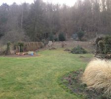 Tous les arbres ont disparus...cela fait de jolis steres de bois, de quoi se chauffer..