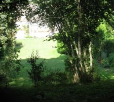 L'ombre avec les arbres...une seule solution : les couper !