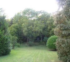 Le terrain lors de la premiere visite....
beaucoup d'arbres mais cela à son charme...
le soleil est en face l'apres midi...