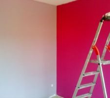 Couleurs de la chambre de ma fille, 3 ans...Elle a choisi le rose, j'ai tempéré avec le violet aubergine