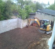 Applanissement du jardin et retrait des souches