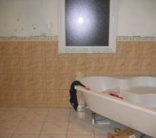 Soubassement et frise sans les joints