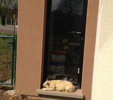 Voila pourquoi on s'est vite décidé à réaliser la terrasse ... Les baies toutes sales avec les chiens qui roupille au soleil...