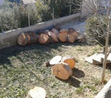 Petit partie de terrain d&eacute;nivel&eacute; ( un "bancaou" en provencal )