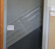 Carrelage du salon/salle &agrave; manger/cuisine/WC/couloirs/entr&eacute;es.

Century adventure

soit en magellano (le gris), soit en verrazenao (le noir)