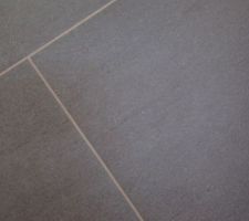 Carrelage du salon/salle &agrave; manger/cuisine/WC/couloirs/entr&eacute;es

century adventure en magellano (gris)