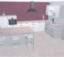 Projet cuisine, désolée pour la qualité du scan !