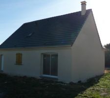 Le crépis