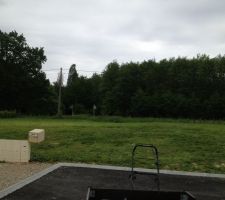 Un petit passage de tondeuse s?imposait :-)