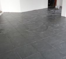 A gauche le salon &agrave; droite l'entr&eacute;e