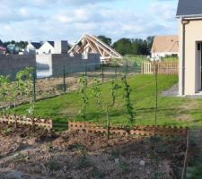 Plantation de trois pommiers en palissage