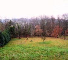 Le terrain vu de la porte de garage