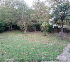 Le terrain de devant vu de la terrasse