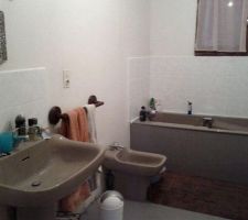 Salle du bain du RDC