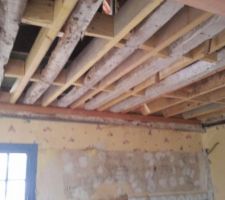 Nouveau support pour le plafond de la cuisine, bastaing de 5x15