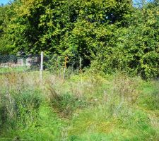 12 octobre 2010 ===> R&eacute;alisation de l'&eacute;tude de sol. Apr&egrave;s l'implantation de quelques piquets &agrave; l'endroit de la future construction l'engin proc&egrave;de &agrave; une p&eacute;n&eacute;tration statique en profondeur avec l'appareil Barendsen : 4 nombres d'essai sont r&eacute;alis&eacute;s &agrave; diff&eacute;rents points et niveaux, aux endroits de la future construction.