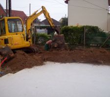 19 ao&ucirc;t 2011 ===> DESSOUCHAGE des 2 grands arbres situ&eacute;s dans le futur chemin d'acc&egrave;s