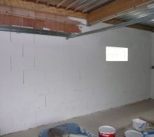 Peinture des murs du garage.